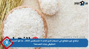 ارتفاع غير متوقع في أسعار الأرز الأحد 3 أغسطس 2025.. ما هو السبب الحقيقي وراء الصدمة؟